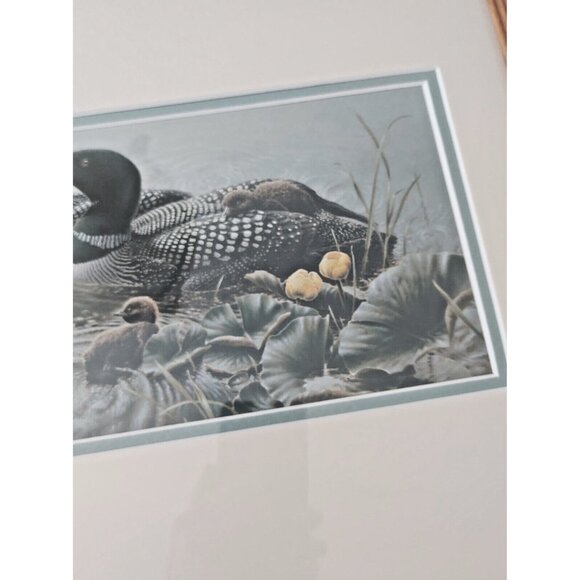 Framed & Matted Michael Dumas Art Print "Bright Water" Loons and Chicks 21 x 17 - Picture 7 of 13